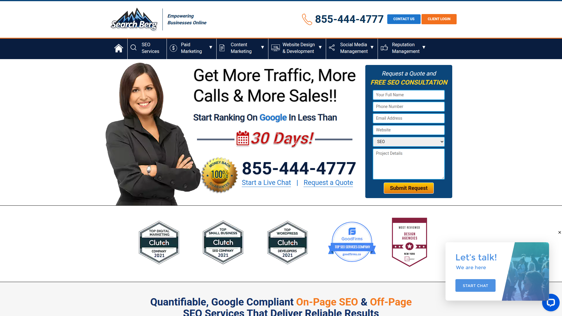 Search Berg website screenshot - guaranteed search engine optimization