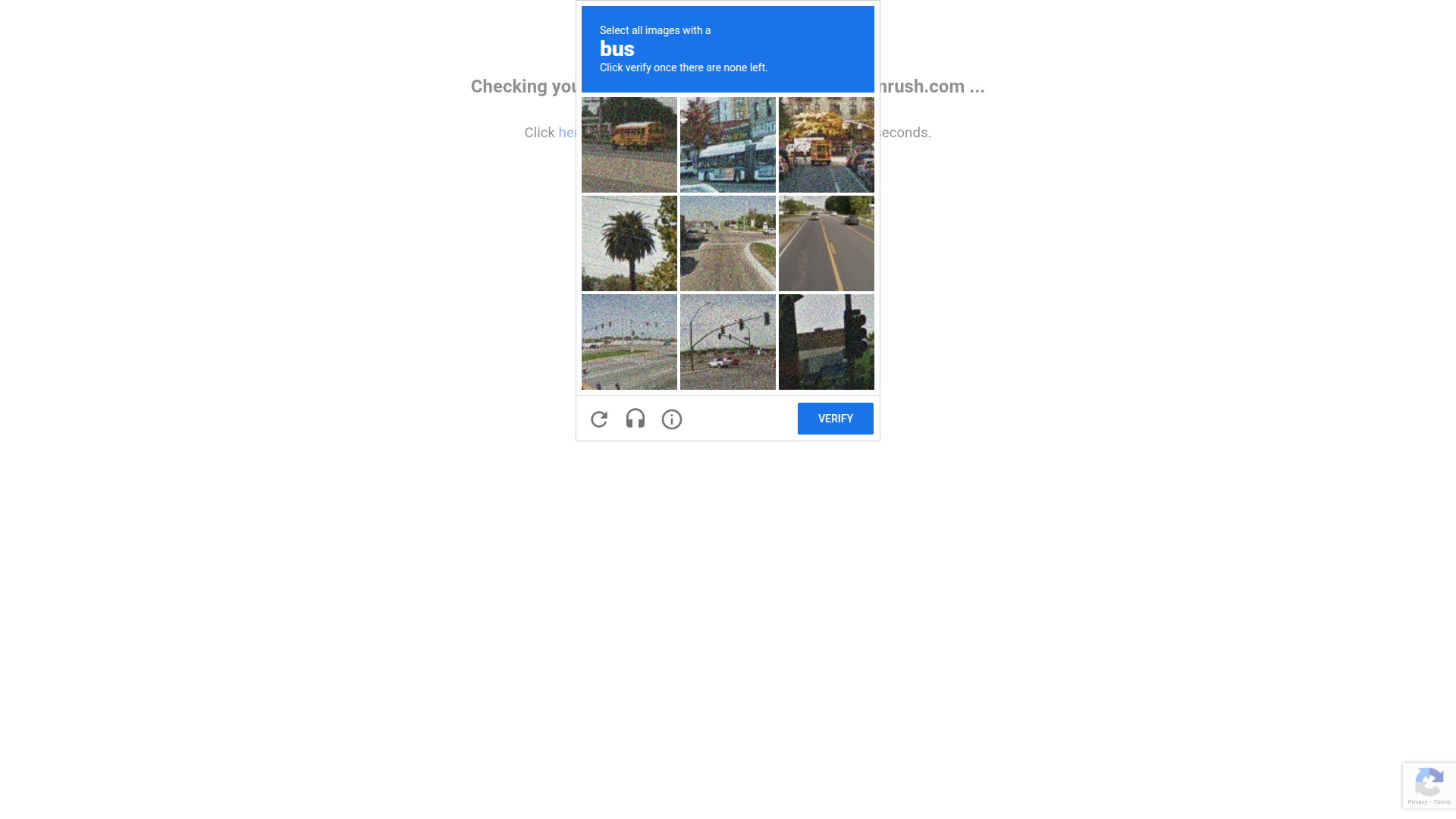 Semrush website screenshot - whitelabel seo platform