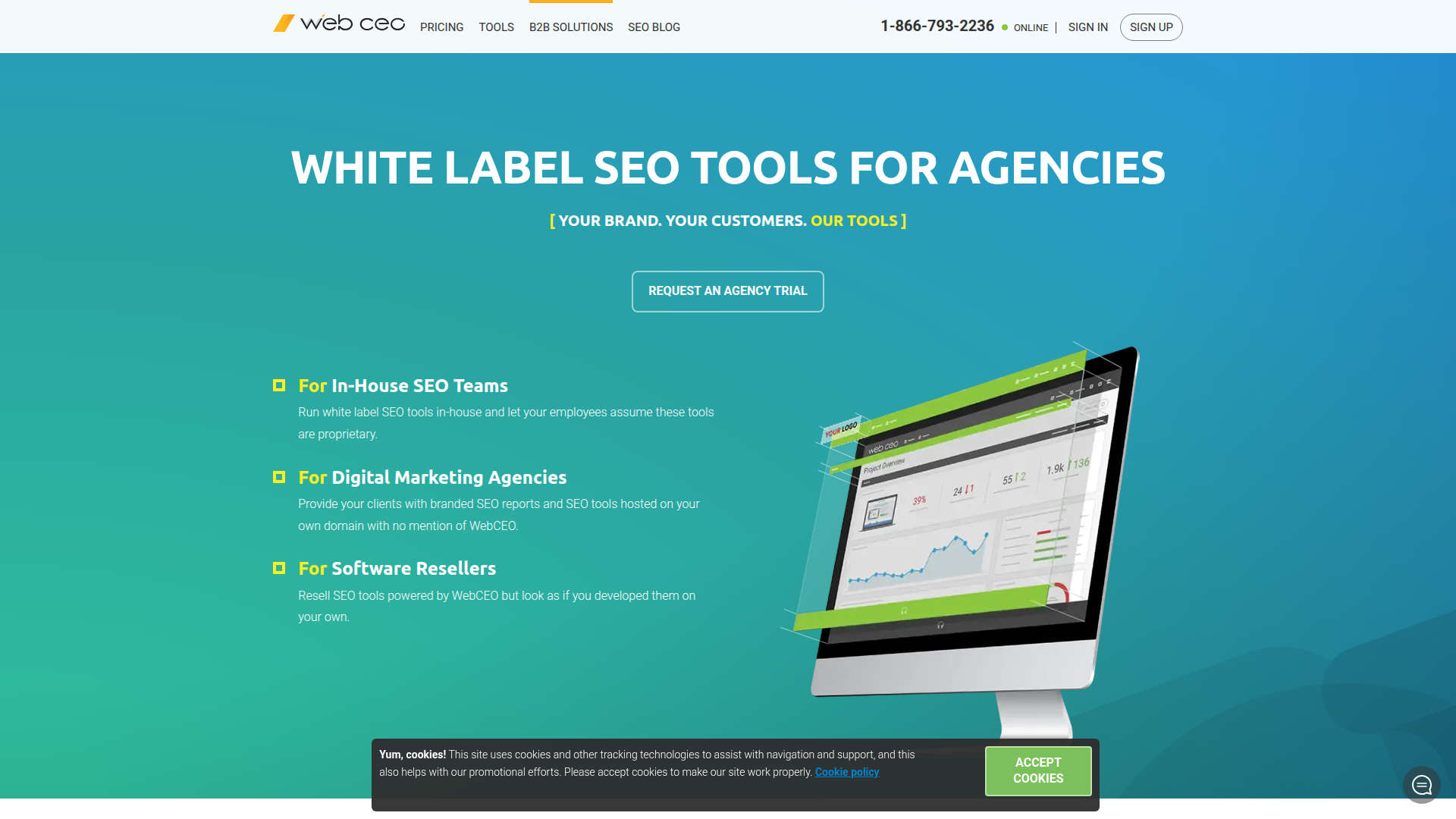 WebCEO website screenshot - white label seo scan
