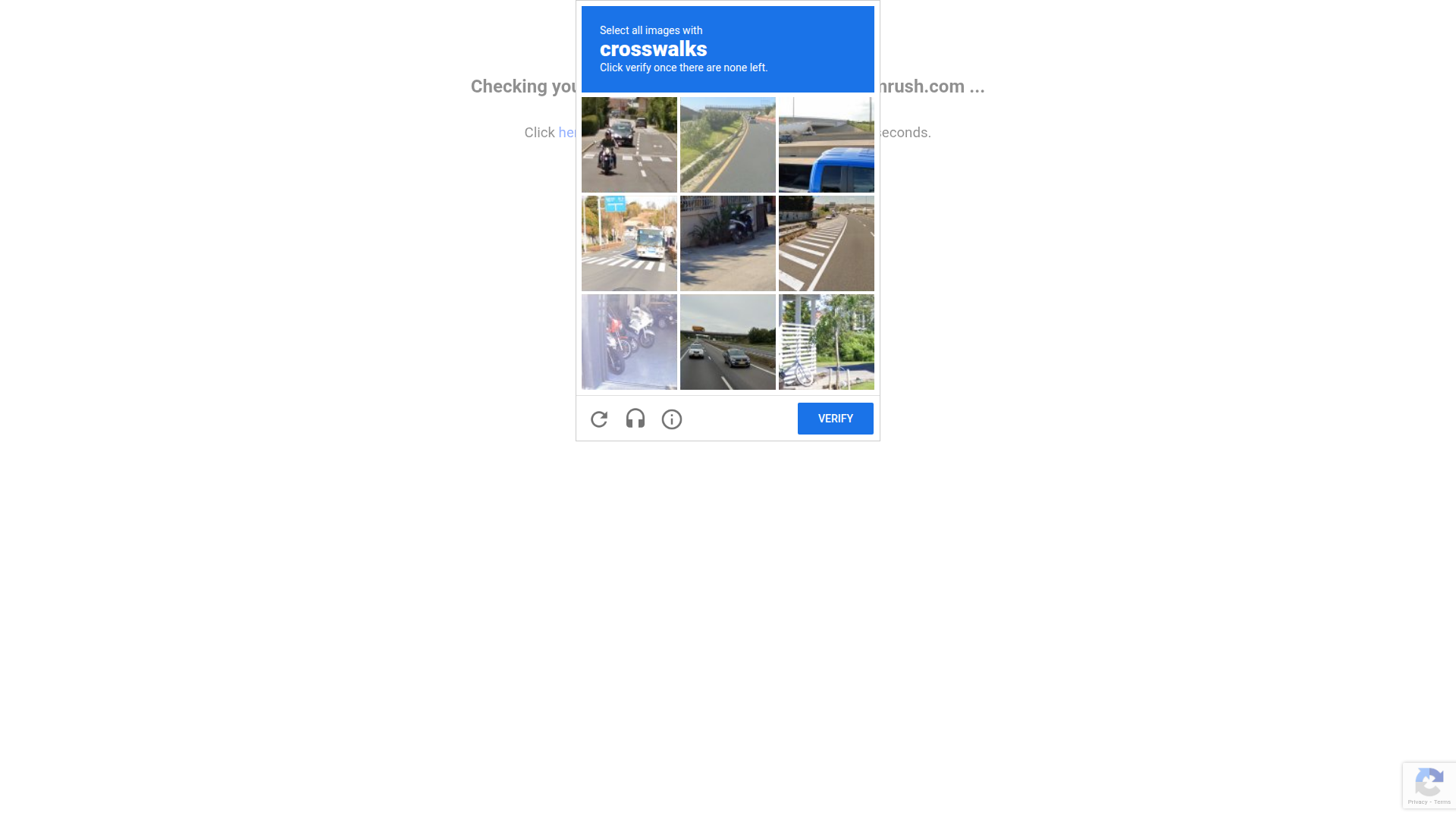 SEMrush website screenshot - white label rank tracker